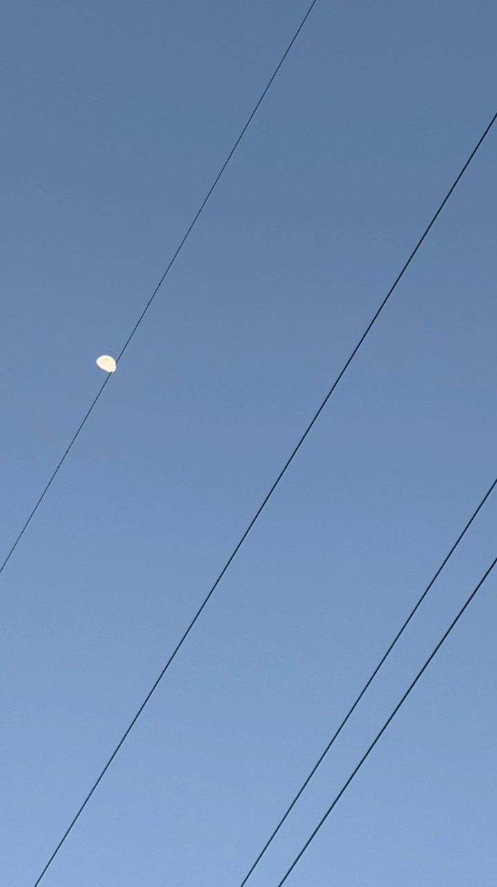 自傷行為人種の会