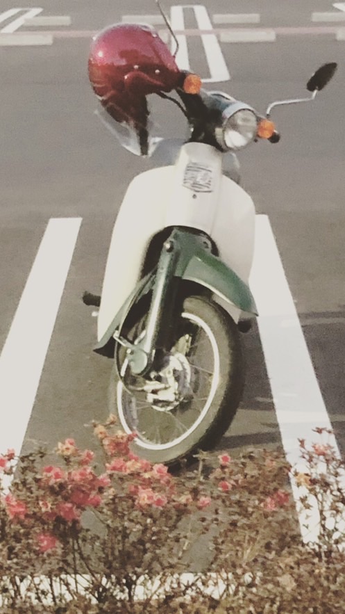 【🏍兵庫県バイク乗りの集まり🛵】のオープンチャット