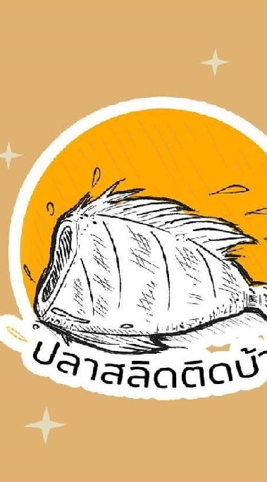 ปลาสลิดติดบ้าน