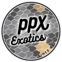 Exotics club สอบถาม/อวดน้อนงู้ยยย