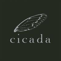 Cicada｜凝視白色的邊界