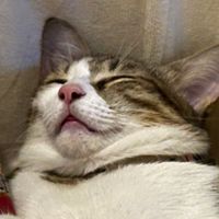 一起拉屎吧💩