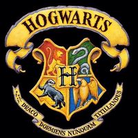เด็กบ้า Harry Potter เด็กเรียน เด็กเก่ง เด็กบ้า