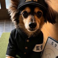 ハーコwith呼吸器疾患の仲間…友の会(当事者)