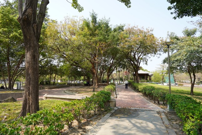 台中公園,台中東英公園,台中洋紅風鈴木,東英公園,東英公園網球場,松鼠公園,洋紅風鈴木,苦楝花,阿勃勒