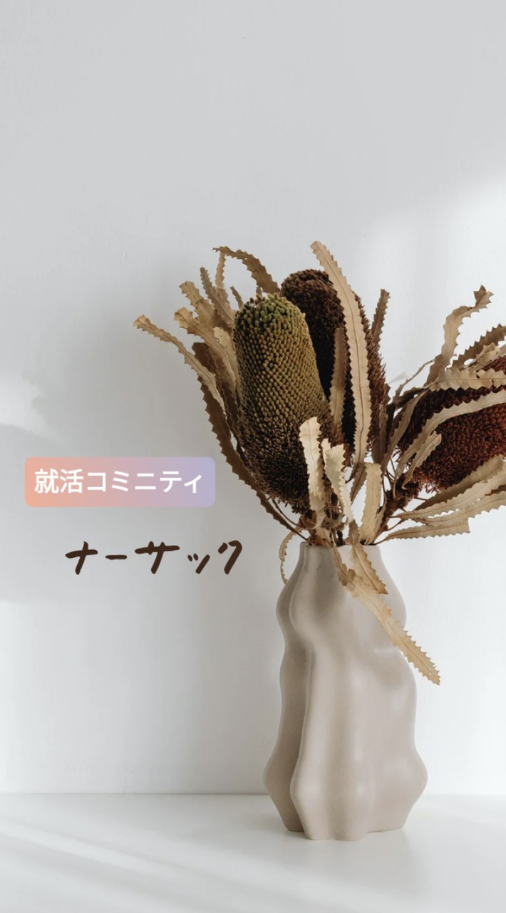 就活コミニティ　ナーサックの家
