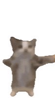 勉強オプ