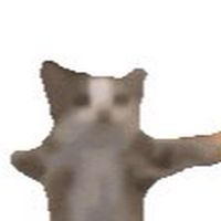 勉強オプ