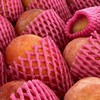 菓然甜四季鮮果