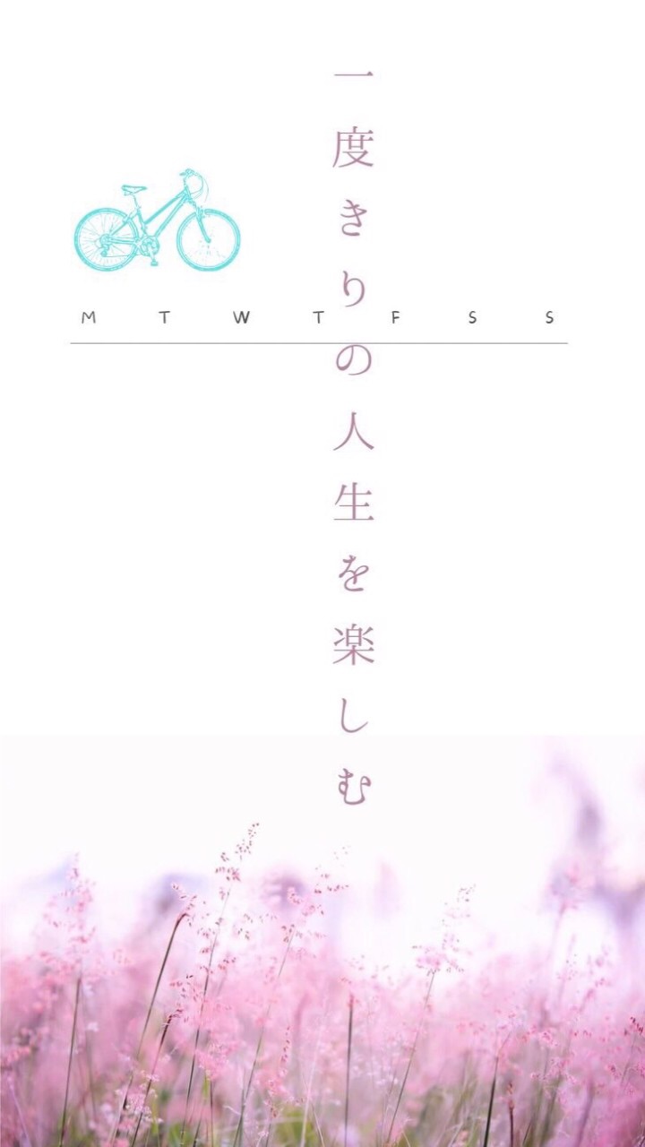 🌸50代60代女性の働き方見直し隊