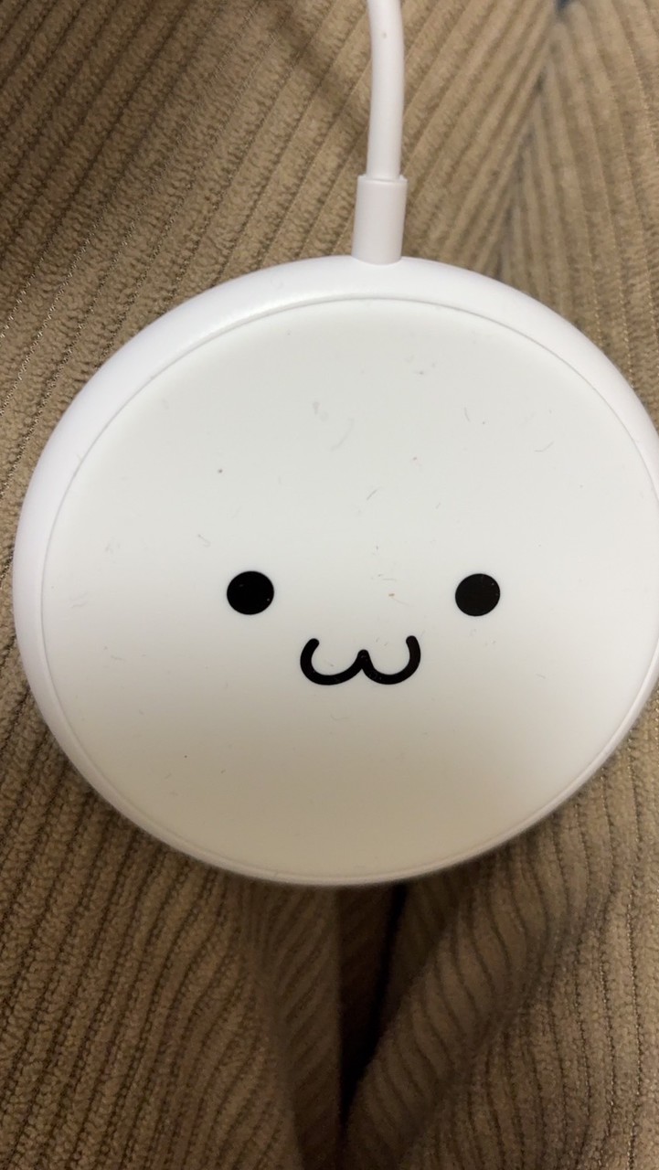 配信者みらいさん