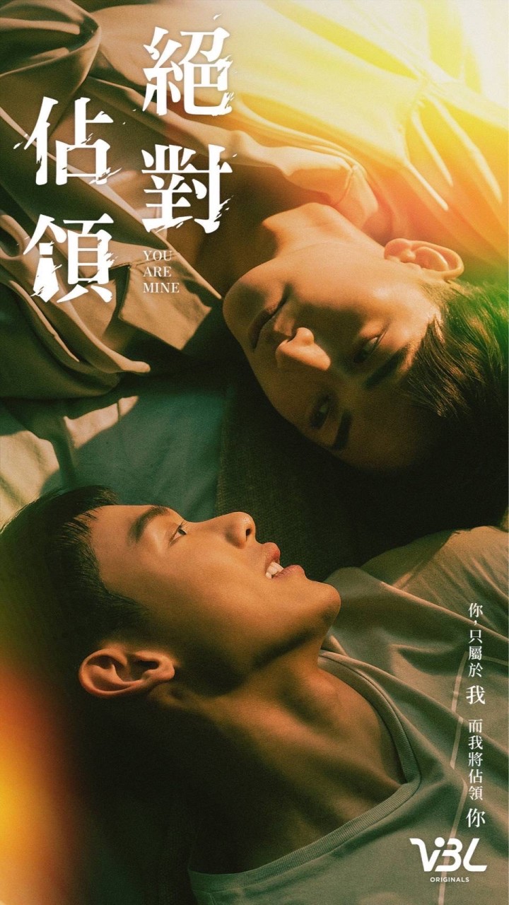 夏氏集團擼貓小隊