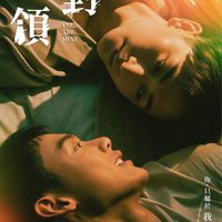 夏氏集團擼貓小隊