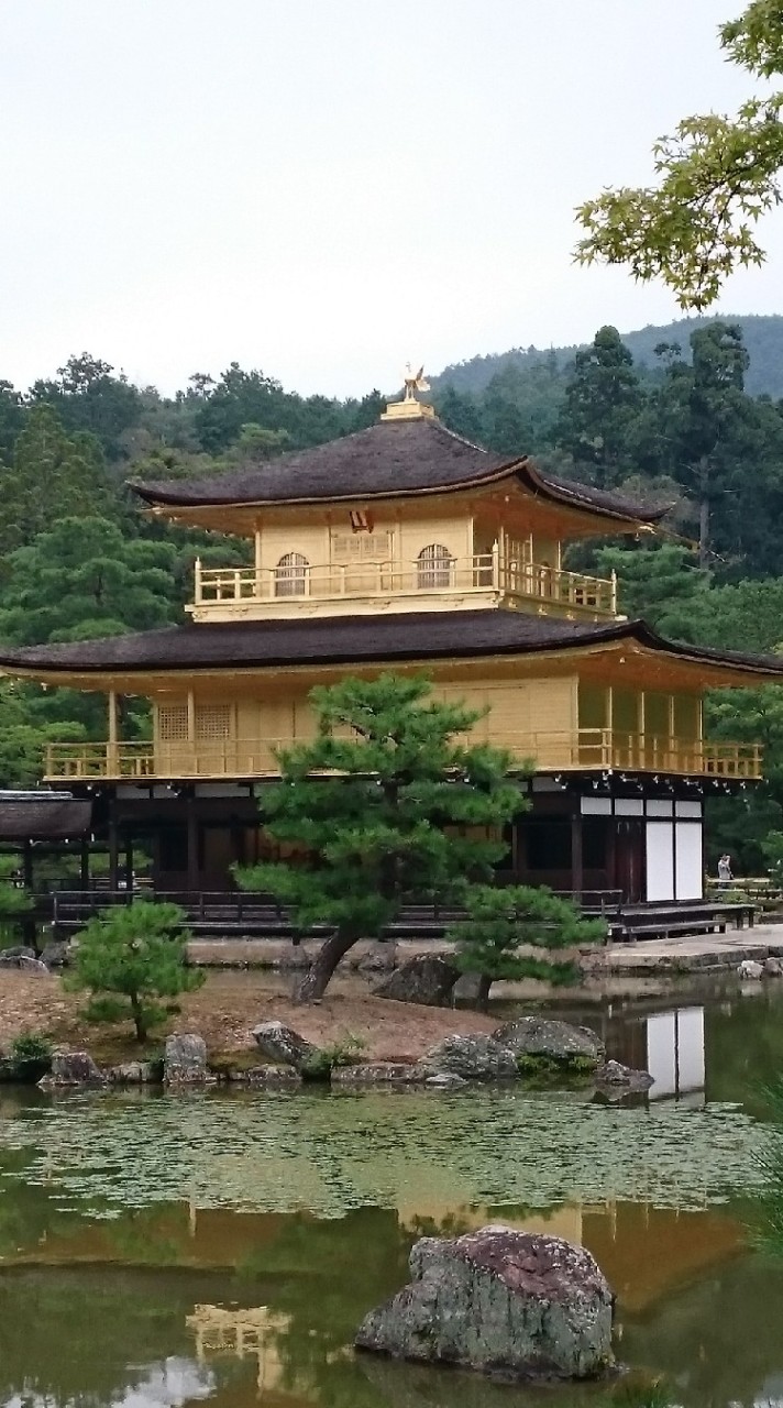 渴了旅遊⛩️日本線領隊～小周的代購＆分享群