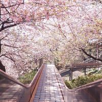 精神疾患を抱えながら働く女性達　2