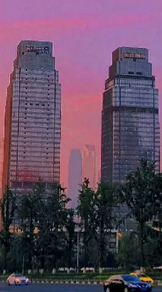 TF大家族