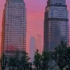 TF大家族