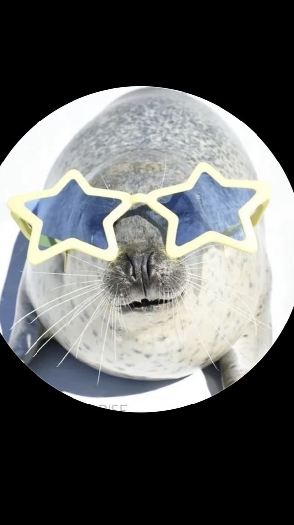 Sealious group