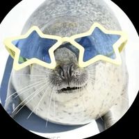 Sealious group