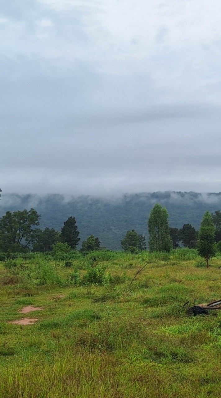 ลำภูกรีนฟาร์ม    Lumphu Green Farm