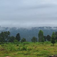 ลำภูกรีนฟาร์ม    Lumphu Green Farm