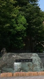 ２０２６春から松山大学