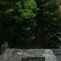 ２０２６春から松山大学