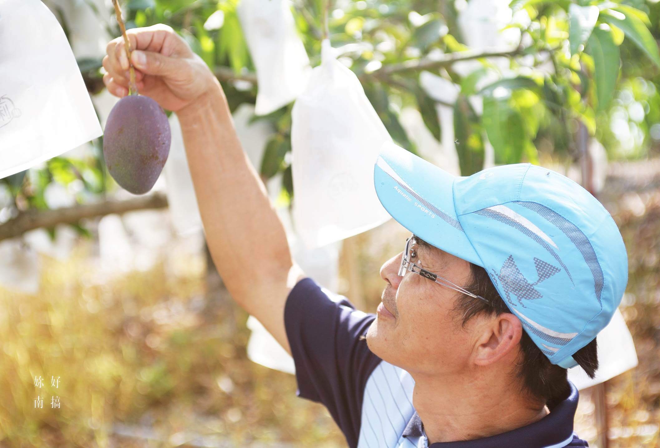 玉井景點-03-妳好南搞