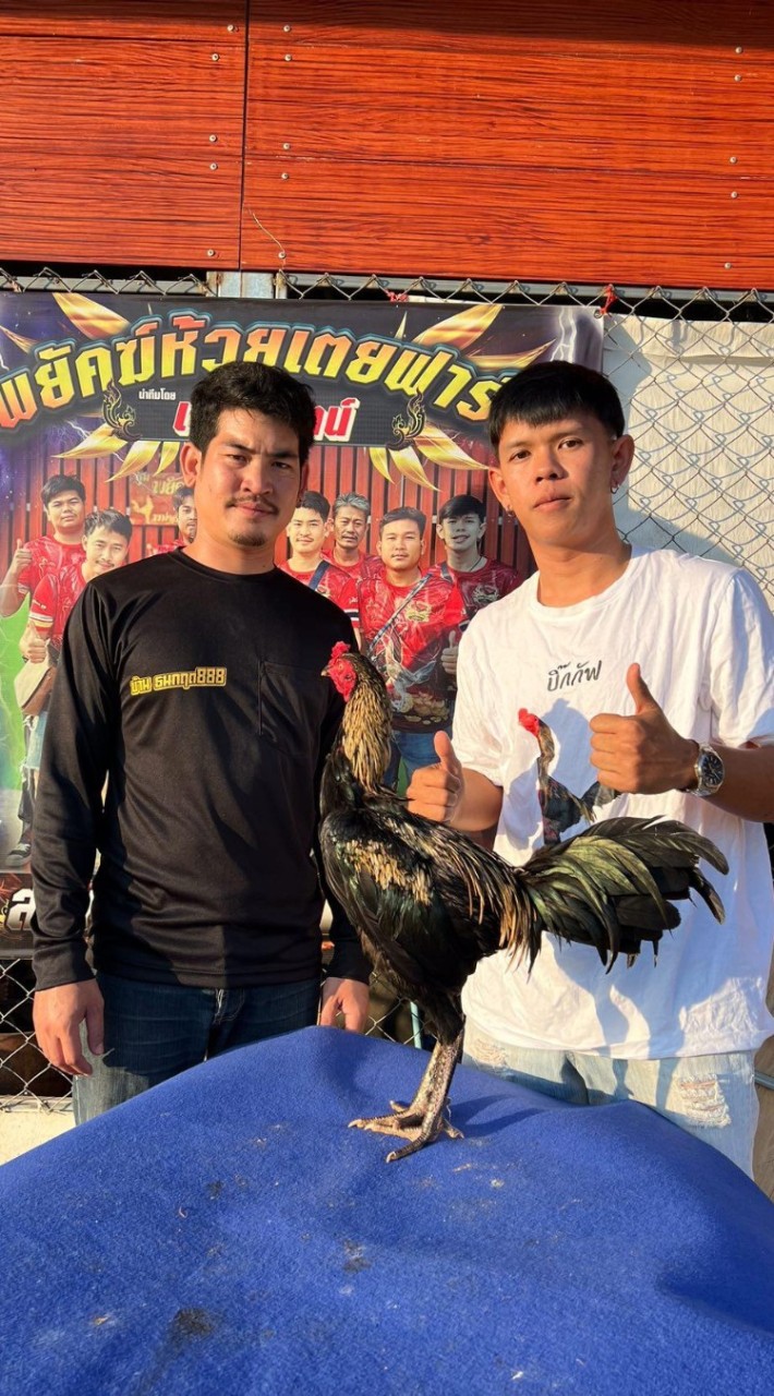 เอ็นทีเจริญ99 ฟาร์ม✨