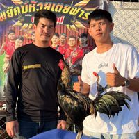 เอ็นทีเจริญ99 ฟาร์ม✨
