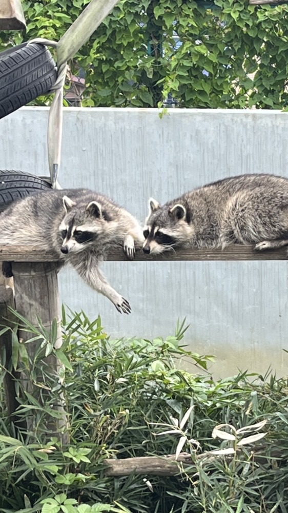 ネット友集め(PS5ゲーム多めに)