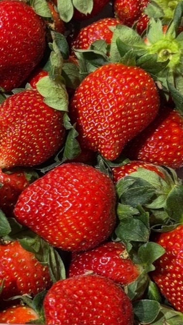 隆來鮮果棧X銚豐水果行