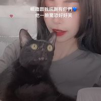 嚕嚕寶