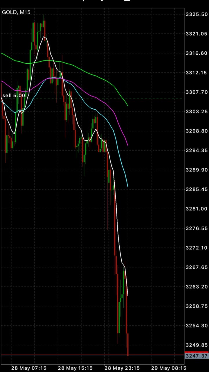Dragon Gold VIP Signal
