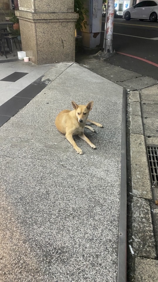 喝到死