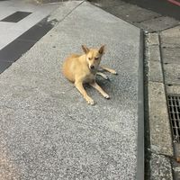 喝到死