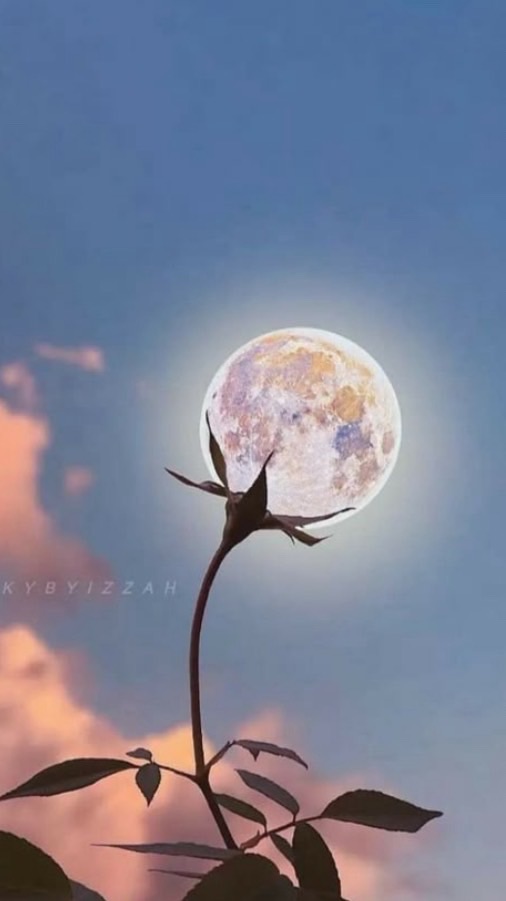 スタンプダイアリー📔第二章ライブトークあり