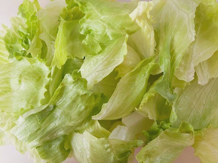 野菜ソムリエが解説 レタスの変色防ぐポイントとは サンキュ