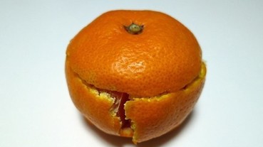 日本網友流行「橘子的高尚吃法」 這到底是怎麼剝的呢？