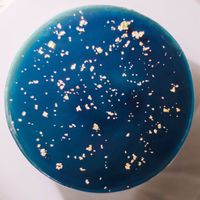 茶會