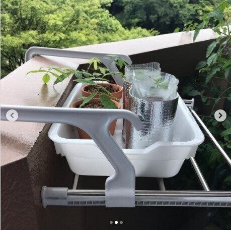 ニトリさんすごすぎるでしょ コスパ抜群のアイデア商品たち サンキュ