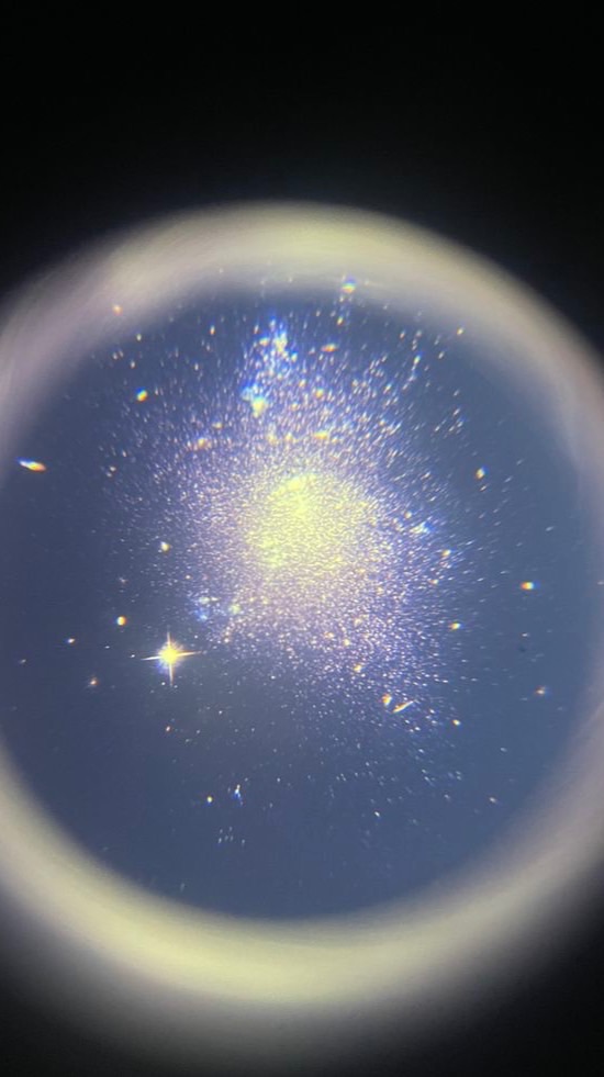 🗣️＞ ねえ、私を選んでみて？♡ 実況者也