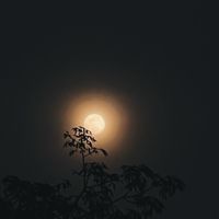 深夜啟示閣