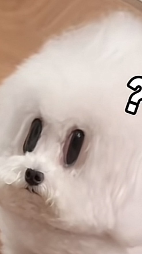 小圈圈紙娃娃領取處