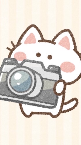 〖初心者歓迎〗カメラ総合(フィルムもデジタルも)