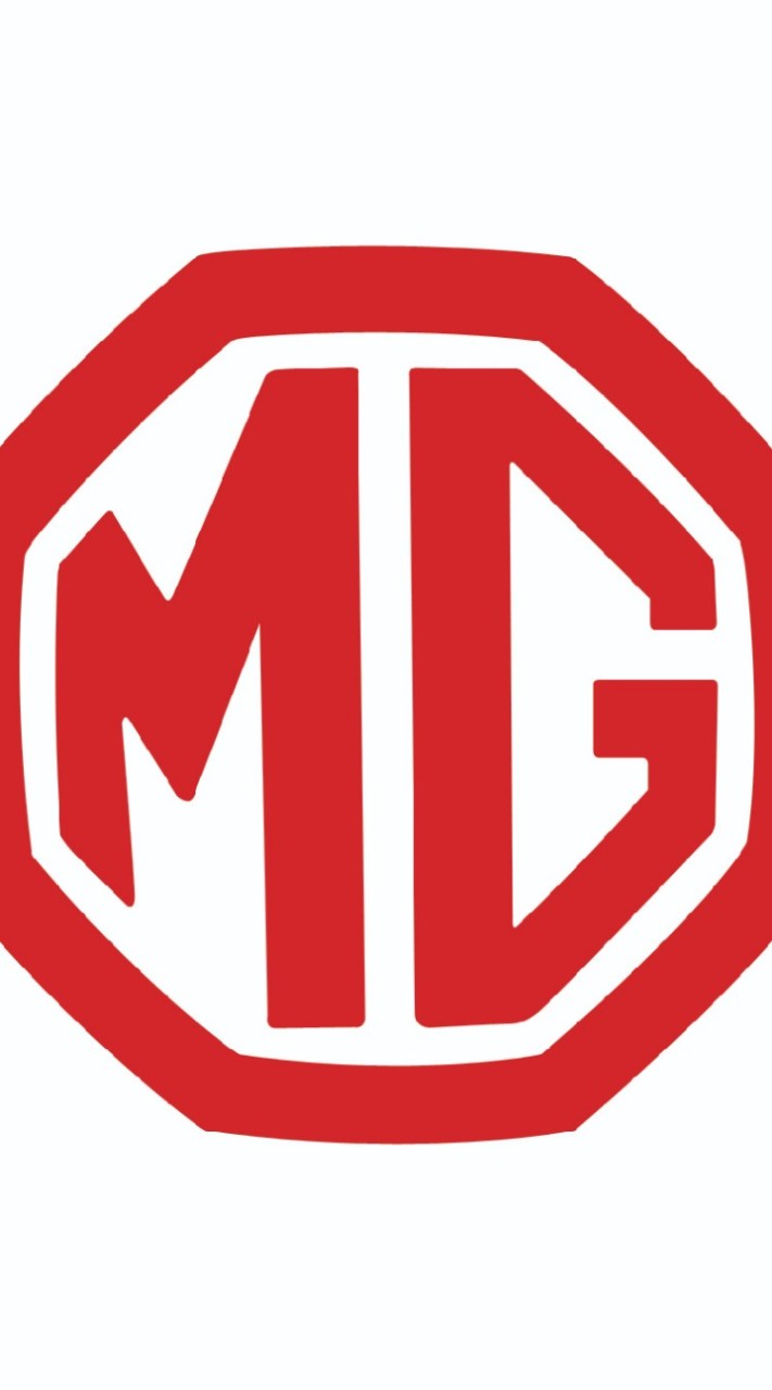 MG HS PHEV USER