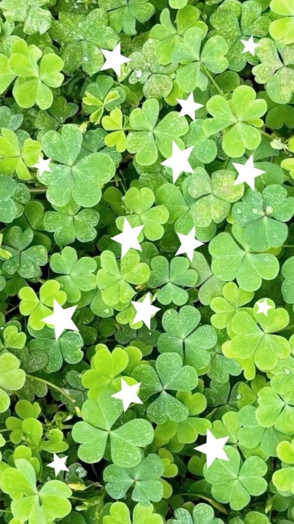Parade Green team 69 💚🍀🗯️