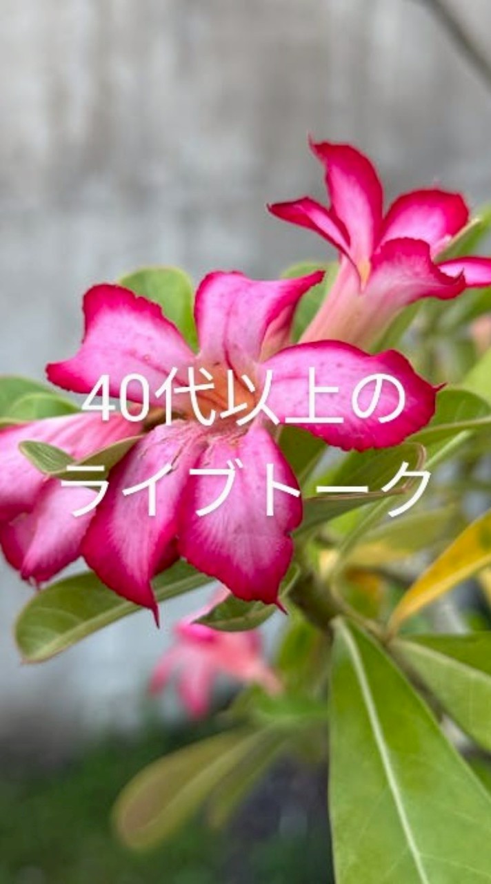 🤩楽しい同世代🤩40代以上のライブトーク🤩