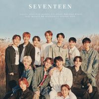 SEVENTEEN聊天小站