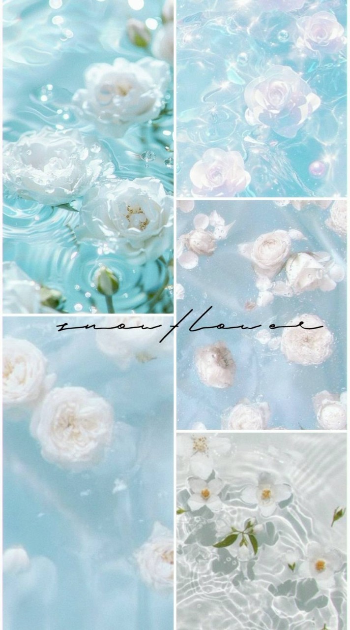 架空VTuber事務所《PRISMDream》